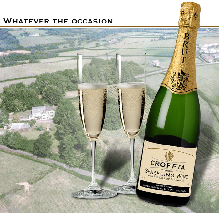 Croffta Vinyard